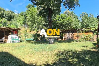 Casă individuală cu 10 camere cu Canalizare în Cetate - 2