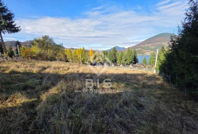 Teren de vanzare 12 ari - COLIBITA - 3