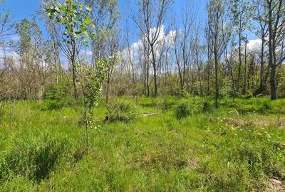 Teren de vanzare / Dem Radulescu - 9