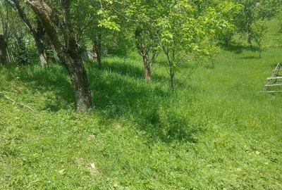 Teren de 7200 mp, în Secăria - 1
