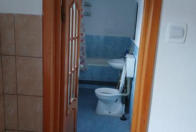 Casa renovata zona pensiunea Bianca - 6