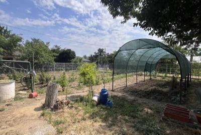 Casa de vacanta - Munteni Buzau - Jutetul Ialomita - Curte 2000mp - 3