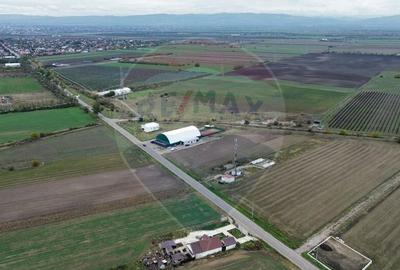 Teren 1,800mp Mircestii Vechi / DJ 204E - 2