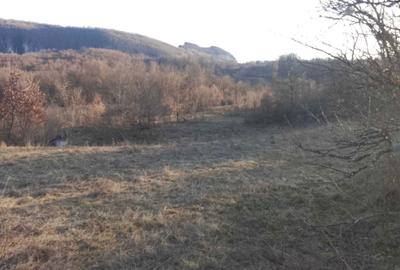 Spațiu comercial, în Ormindea - 1