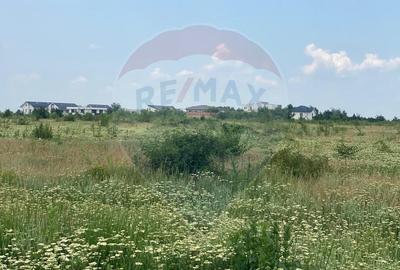 DE VANZARE Teren intravilan 600mp Drumul Piscul Mosului SISESTI - 15