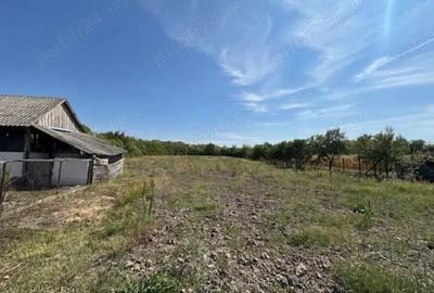 Casă cu 3 camere în Bicaci - 1