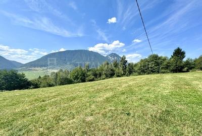 Platou montan, 6631 mp intravilan, electricitate,  langa pădure - 9