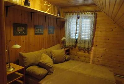 Proprietate cu destinatie mixta in Campul Cetatii - 5