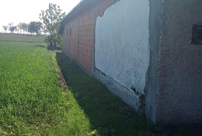 Casă cu 3 camere în Peregu Mare - 7