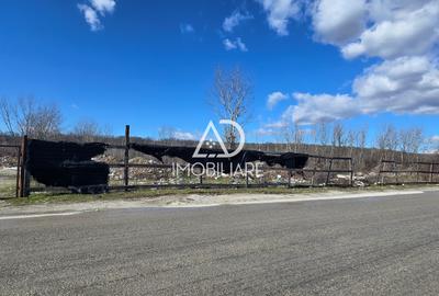 Teren intravilan de 12771 mp, în Central - 3