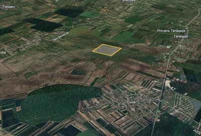 Vanzare teren agricol extravilan Tartasesti - Gulia, Dambovita