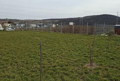 Teren de 500 mp, în Central - 3