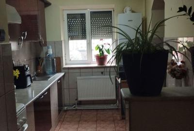 Apartament cu 2 camere în Dacia - 10