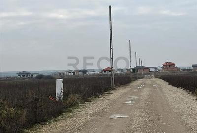 Teren în Cihei - 7