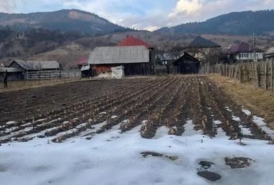 Casă cu Teren 22 Mp în Ilva Mare - 1
