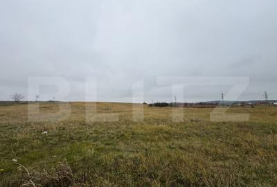 Teren intravilan in Pricaz 4416 mp - 1