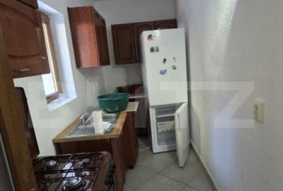 Cabana de vanzare, 8 camere,teren 1500 mp, zona Colibi?a-Ma - 2