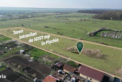 Teren de 16157 mp, în Pișchia