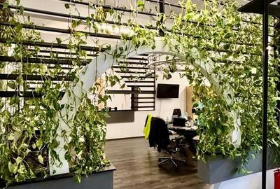 Cladire de birouri cu 4 etaje si parcare 10 locuri - zona Cotroceni - 20