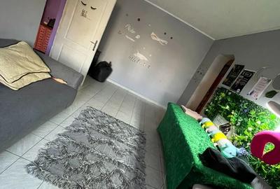 Apartament cu 2 camere semidecomandat, mobilat în Splai Bahlui - 4