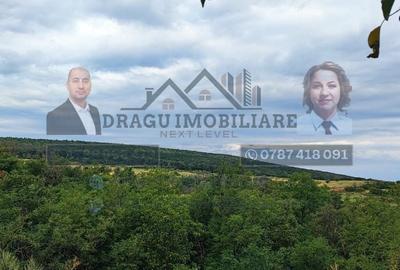 Teren generos 2240 mp cu casă bătrânească - Copăcești, județul Vrancea - 2