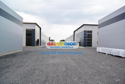 Spatiu Depozitare/Hala Centura-Mogosoaia - 1