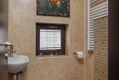 ARTSY LAKEFRONT VILLA | BANEASA - 13