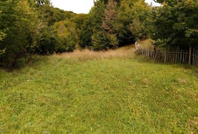 TEREN DE VANZARE IN SLANIC MOLDOVA - 1