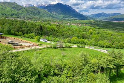 Teren Construcții intravilan de 500 mp, în Tohănița - 4