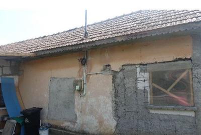 Casă cu 1 camere cu Teren 1450 Mp în Troianul - 3