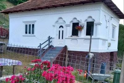 Casă cu 3 camere cu Teren 1000 Mp în Sălătrucu - 1