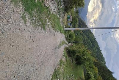 Teren de 1000 mp, în Malaia - 9