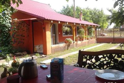 Casa de Vinzare la Sat - 1