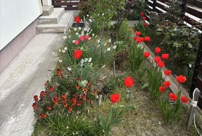 Casă cu 3 camere în Smeura - 1