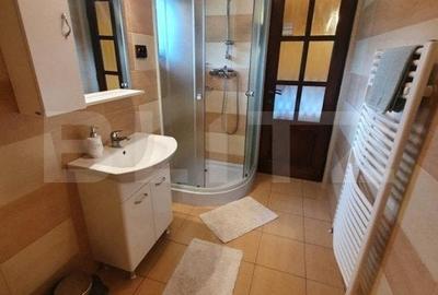 Cabana cu accesc la lac, 1400mp teren Colibita - 2