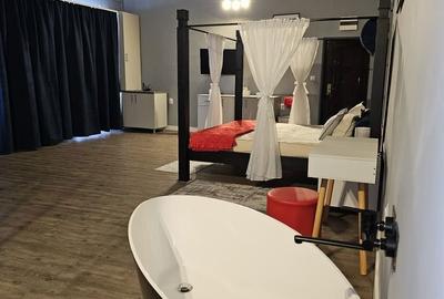 Spațiu comercial, de 46 mp, în Lotrioara - 5