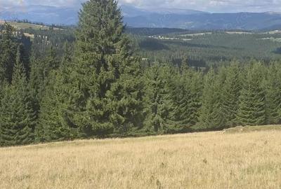 Teren intravilan cu priveliste spectaculoasa - Piatra Fantanele - 2