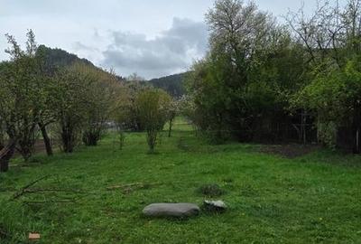 Casă cu 3 camere cu Teren 3900 Mp în Florești
