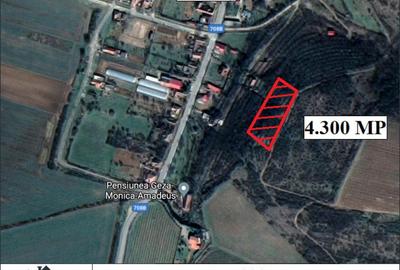 Teren de 4300 mp, în Miniș - 2