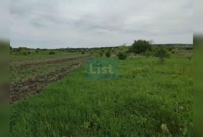 Teren agricol intravilan de 800 mp, în Sopor - 2