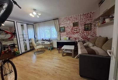 Apartament cu 2 camere decomandat în Lipovei - 7