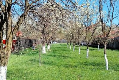 Teren de 2030 mp, în Tărlungeni