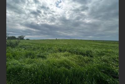 Teren Construcții intravilan de 3010 mp, în Central - 2