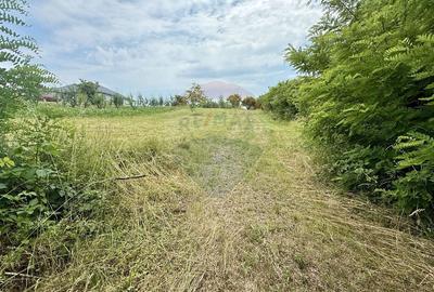 Teren pretabil constructii/10 min de Baia Mare - 12