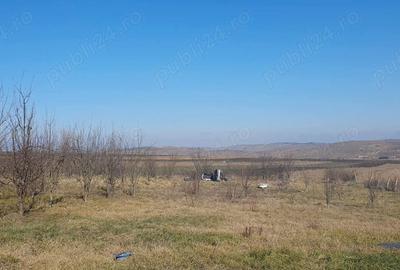 Teren de 3000 mp, în Boju - 1