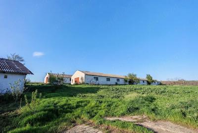 Teren de 7000 mp, în Laza