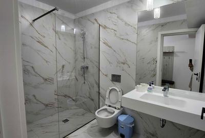 Apartament cu 2 camere semidecomandat în Cotroceni - 8