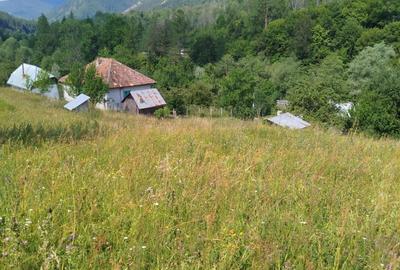 Casă cu 3 camere în Vadu Oii - 4