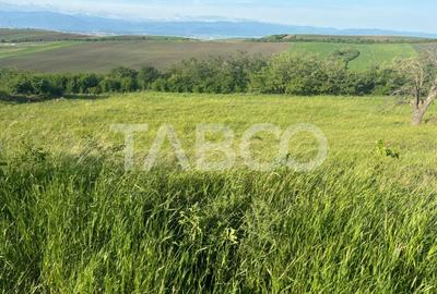 Teren Construcții intravilan de 8900 mp, în Șura Mare