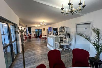 Casa de vanzare, plus afacere la cheie, la 25 de KM de Bistr - 11